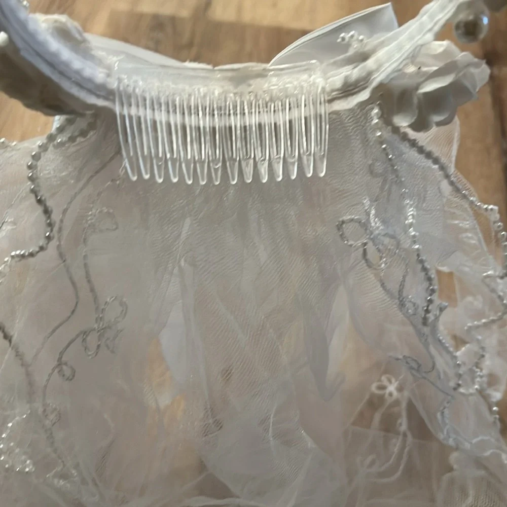 Veil - Picture 6 of 9